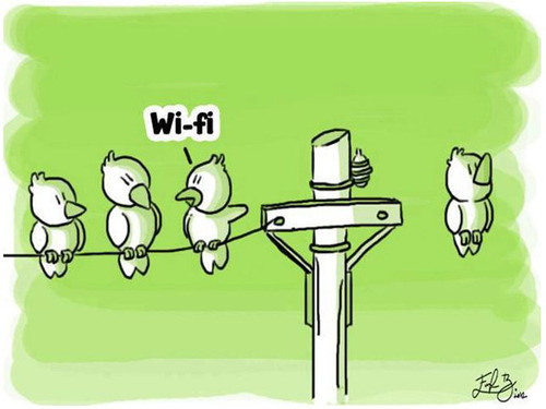 wi-fi-passaro